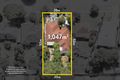 Property photo of 74B Tamar Street Palmyra WA 6157