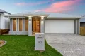 Property photo of 40 Granite Street Yarrabilba QLD 4207