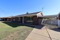 Property photo of 24 Crisp Drive Ashmont NSW 2650