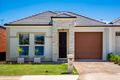 Property photo of 16A Alfred Avenue Seaton SA 5023