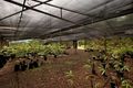 Property photo of 943 Mira South Road Darwin River NT 0841