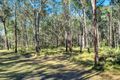 Property photo of 194 Gardiners Road James Creek NSW 2463