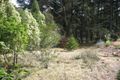 Property photo of 149 Station Street Blackheath NSW 2785