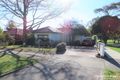 Property photo of 39 McCulloch Street Nunawading VIC 3131