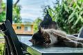 Property photo of 17 McNally Street Bellingen NSW 2454