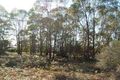 Property photo of 306 Rheban Road Spring Beach TAS 7190