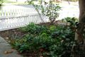 Property photo of 36 Charles Street Midland WA 6056