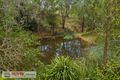 Property photo of 183-187 Campbells Pocket Road Wamuran QLD 4512