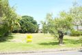Property photo of 15 Howe Street Gordonvale QLD 4865