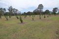 Property photo of 11 Yatama Place Cooroibah QLD 4565