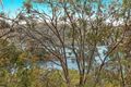 Property photo of 12 Cheero Point Road Cheero Point NSW 2083