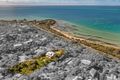 Property photo of 3023 Point Nepean Road Sorrento VIC 3943