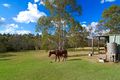 Property photo of 75 Single Ridge Road The Slopes NSW 2754