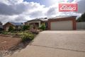 Property photo of 151 Newton Circuit Thurgoona NSW 2640