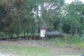 Property photo of 12 Rainbow Avenue Macleay Island QLD 4184