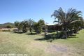 Property photo of 603 Hodzic Road Biboohra QLD 4880