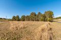 Property photo of 41 Eildon-Jamieson Road Eildon VIC 3713