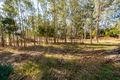 Property photo of 41 Eildon-Jamieson Road Eildon VIC 3713