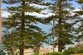 Property photo of 4/49 The Crescent Manly NSW 2095