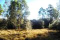 Property photo of 259 Mt Hull Road Collinsvale TAS 7012