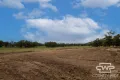 Property photo of 2615 Torrington Road Torrington NSW 2371