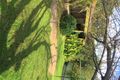 Property photo of 52 Regency Road Happy Valley SA 5159