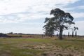 Property photo of 15 Wilkins Road Naracoorte SA 5271