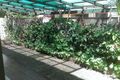 Property photo of 3/21 Woomba Place Mooloolaba QLD 4557