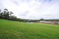 Property photo of 28 Currawong Crescent Upper Coomera QLD 4209