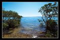 Property photo of 38 Udara Drive Macleay Island QLD 4184