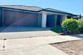 Property photo of 8 Larneuk Drive Cobblebank VIC 3338