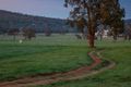 Property photo of 12 Jersey Road Lower Chittering WA 6084
