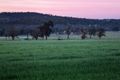 Property photo of 12 Jersey Road Lower Chittering WA 6084