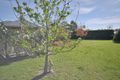 Property photo of 3 Banksia Court Lucknow VIC 3875
