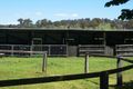 Property photo of 58 Puddledock Road Armidale NSW 2350