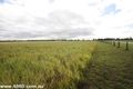 Property photo of 2050 Dimbulah Road Arriga QLD 4880