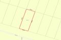 Property photo of 12 Palm Avenue Ingham QLD 4850
