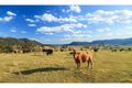 Property photo of 119 Wedgetail Close Lambs Valley NSW 2335