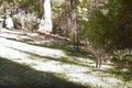 Property photo of 5 Lochness Place Hornsby NSW 2077