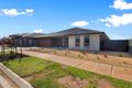 Property photo of 12 Pine Avenue Virginia SA 5120