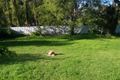 Property photo of 23 Williams Crescent Russell Vale NSW 2517