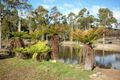 Property photo of 110 Bridport Back Road Nabowla TAS 7260