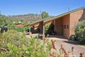 Property photo of 3/42 Kilpatrick Street Kooringal NSW 2650