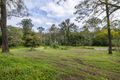 Property photo of 79 Woodlands Avenue Camira QLD 4300