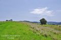 Property photo of 705 Bunyah Road Wang Wauk NSW 2423