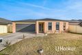 Property photo of 14 Lobelia Street Pakenham VIC 3810