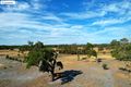 Property photo of 208 Curtis Lane West Pinjarra WA 6208