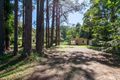 Property photo of 292 Lake Flat Road Cootharaba QLD 4565
