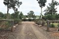 Property photo of 100 Lanigan Road Glan Devon QLD 4615