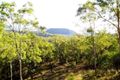 Property photo of 956 Blanchview Road Silver Ridge QLD 4352